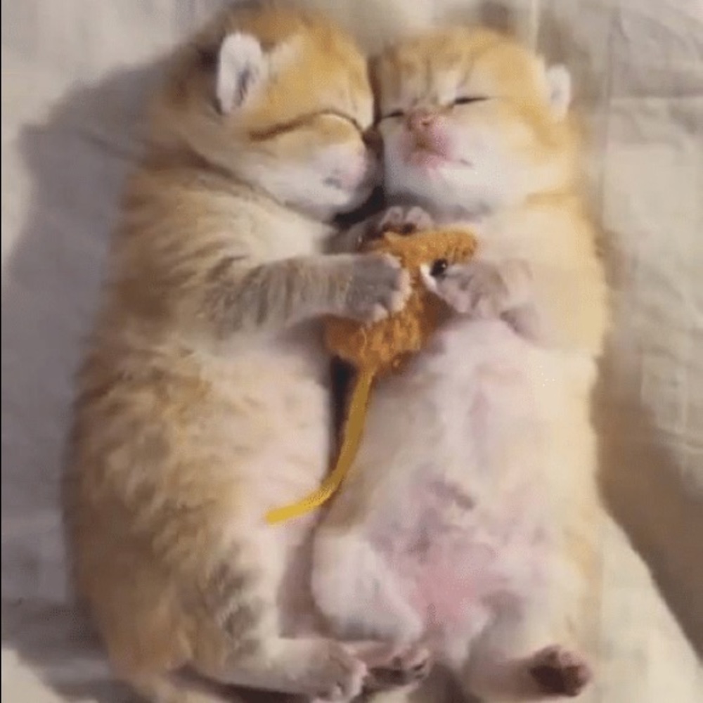 Top 10% Sharer! 🤗❤️🤪💞🙀💝